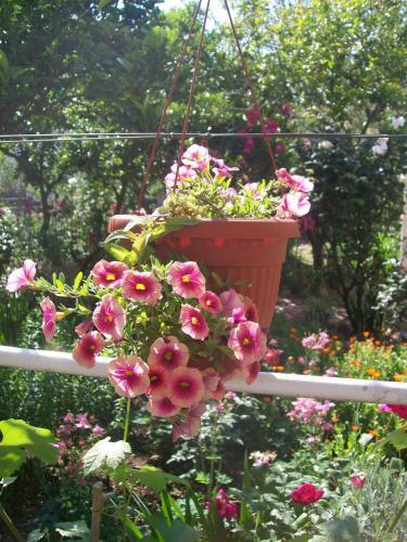 Hostal Apartments Lijesevic