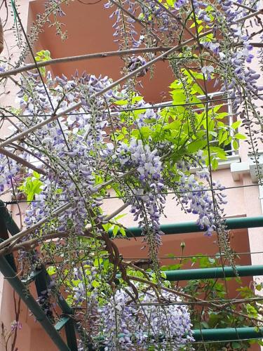 Apartamento Ecohouse Risan Studio
