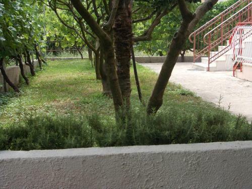 Apartment Jelaca