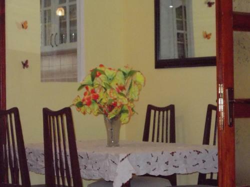 Apartment Jelaca
