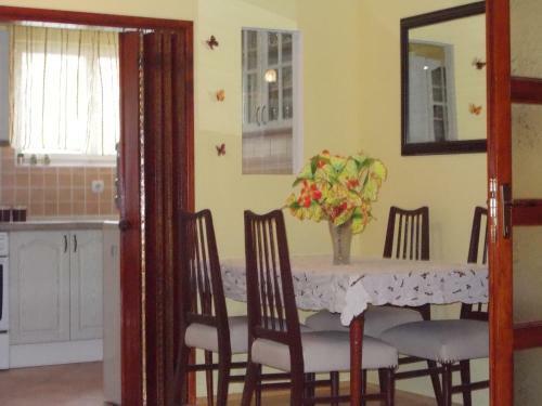 Apartment Jelaca