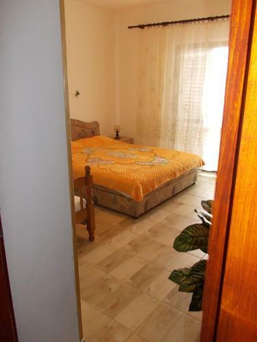 Apartment Jelaca