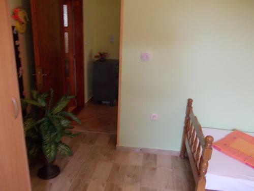 Apartment Jelaca