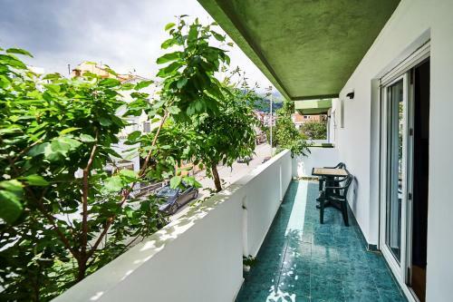 Apartments Mont