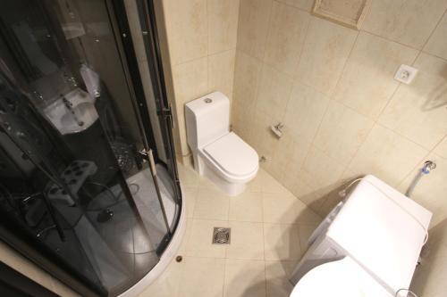 Apartment Gosposhtina 219