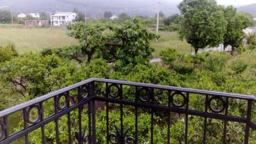 Apartments Branko
