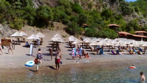 Apartments Branko