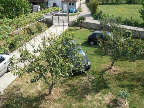 Apartments Branko