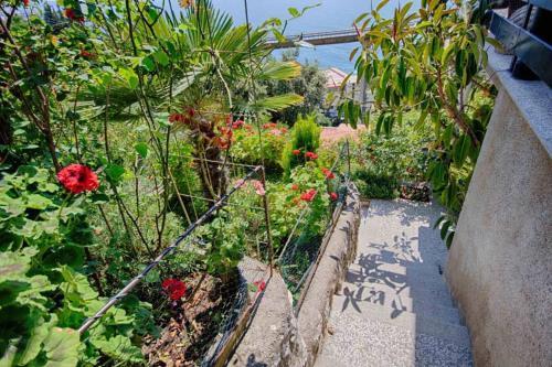 Apartamento Villa Blue Dreams