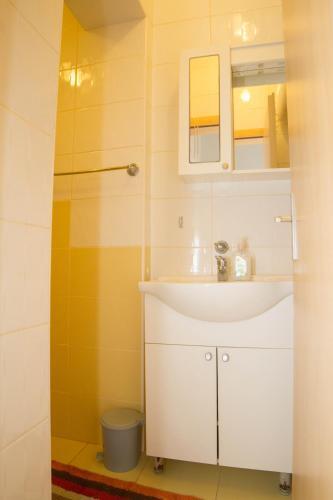 Apartments Mali Dalas Djenovici 6