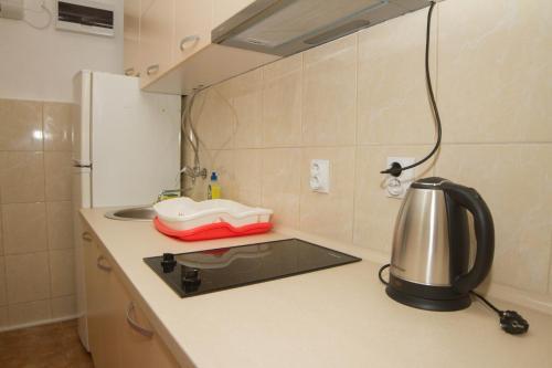 Apartments Mali Dalas Djenovici 6