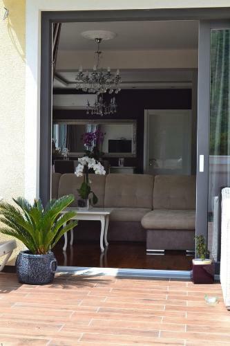 Luxury Apartment Budva