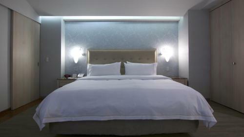 Hotel Holiday Inn Express Mexico- Toreo