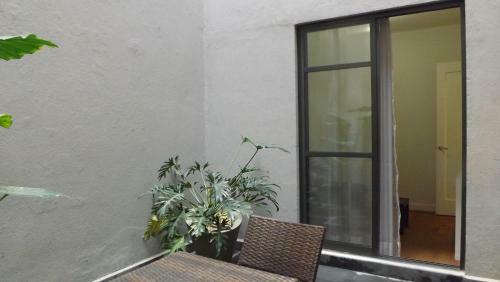 Deluxe & Great Locate Apartment Close To Reforma