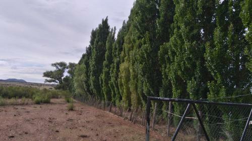 Agroturismo Rancho Payasito