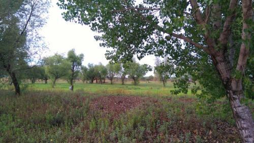 Agroturismo Rancho Payasito