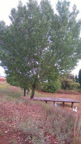 Agroturismo Rancho Payasito