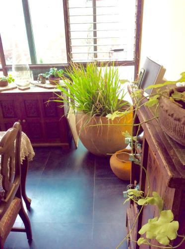 Hostal Casa Bonita