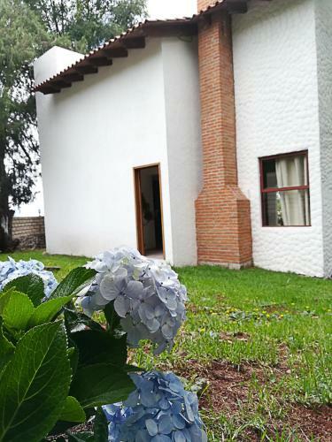 La Mora Casa De Campo