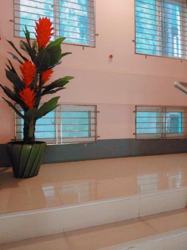 Man Shwe Li Hotel