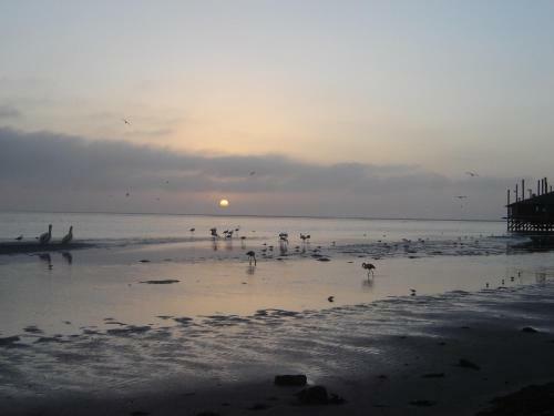 Apartamento Lagoon View Self Catring