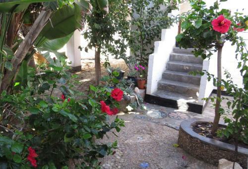 Bed & Breakfast Alternative Space B & B