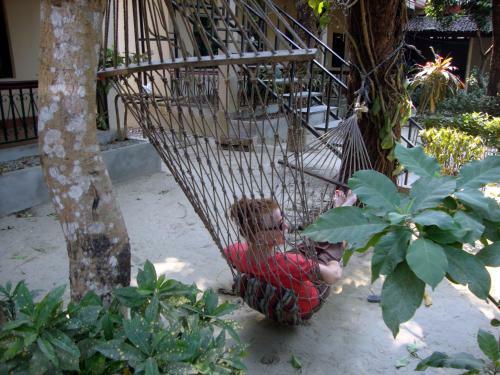 Hostal Wild Horizons Guest House
