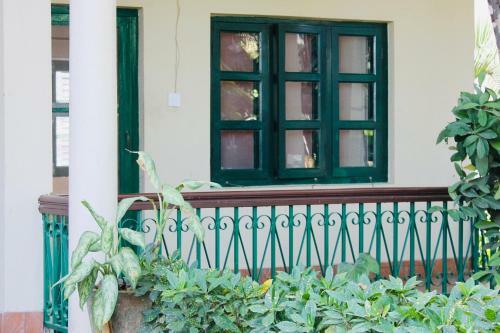 Hostal Wild Horizons Guest House