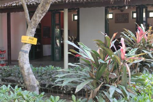 Hostal Wild Horizons Guest House
