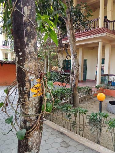 Hostal Wild Horizons Guest House