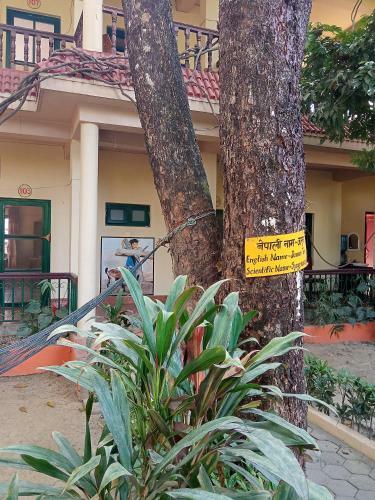 Hostal Wild Horizons Guest House