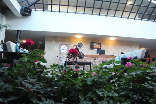 Palace Sclc Hotel & Brewery
