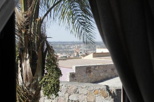 Bed & Breakfast Z�n� Hotel Showroom
