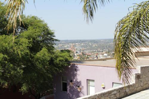 Bed & Breakfast Z�n� Hotel Showroom