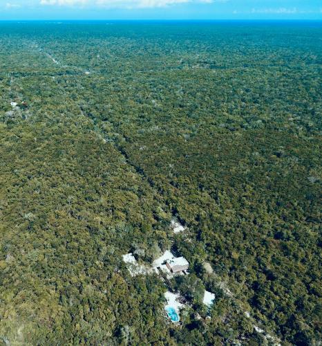 Bed & Breakfast Casa Tzalam Tulum Selva