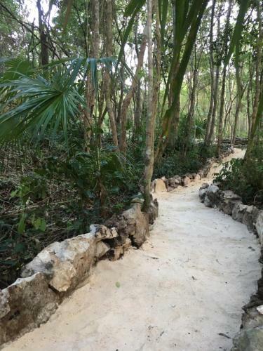 Bed & Breakfast Casa Tzalam Tulum Selva