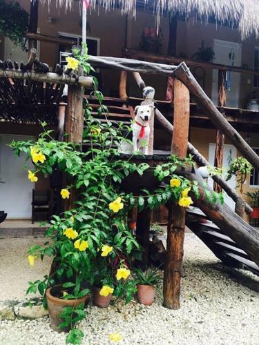Bed & Breakfast Casa Tzalam Tulum Selva