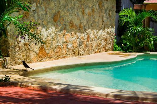 Bed & Breakfast La Casa De Los P�jaros