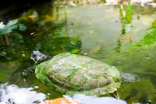 Bed & Breakfast La Casa De Los P�jaros