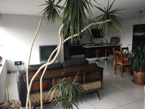 Napoles Condo Suite