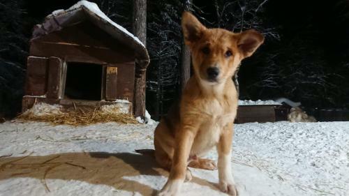 Apartamento Gotokirkenes