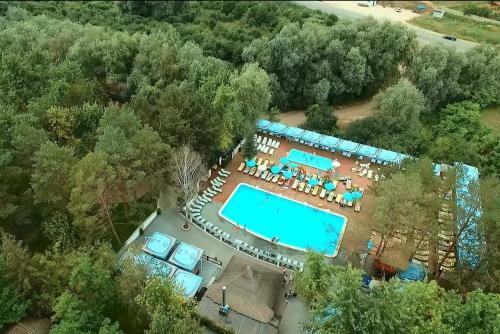 Hotel Tree House
