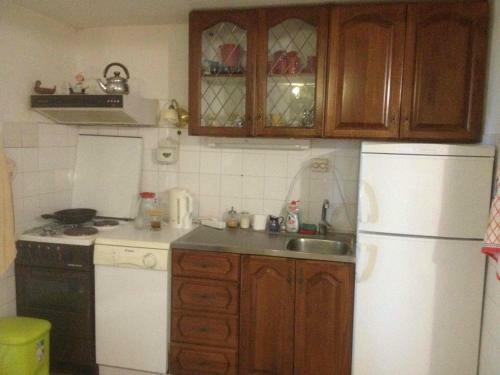 Apartment Olga