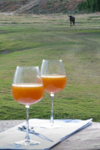Daan Viljoen Game Lodge