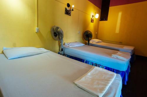 Albergue Hostal Lazybones