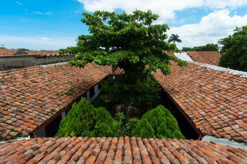 Albergue Hostal Lazybones