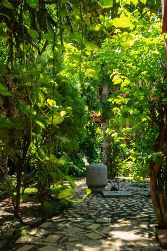 Albergue Hostal Lazybones