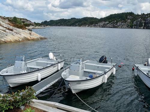 Holiday Home Goddevegen