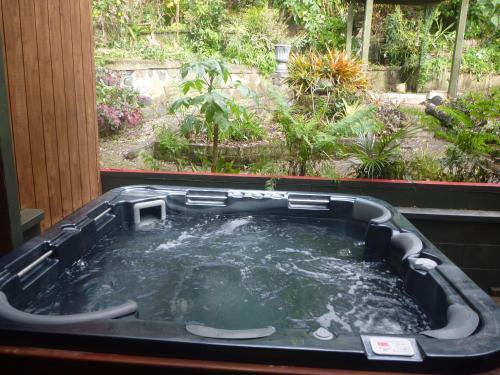 Bed & Breakfast Pohutukawa Coast Bnb