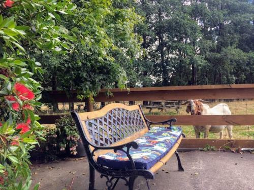 Height Of Dunedin Serviced Farm Stay